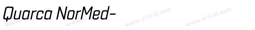 Quarca NorMed字体转换